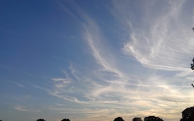 Why Norfolk?