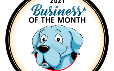 Good Vet and Pet Guide Business of The Month