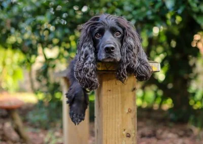 Just hanging about
