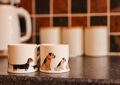 All about the dogs