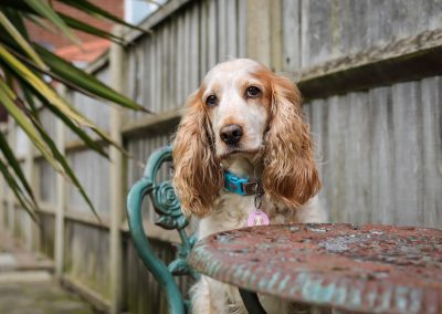 Just hanging out in the secure garden