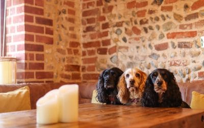 What Makes Pack Holidays… Well, Pack Holidays? (And What Could We Do Even Better?)