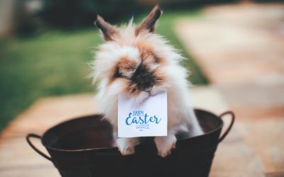 Pack Holidays Last Minute Easter Availability!!