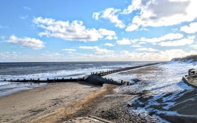 Pack Holidays Guide To The Best Dog Friendly Beaches in Norfolk