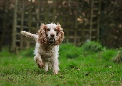 Having fun in the paddock