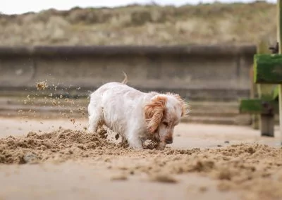 Just chilling on the beach