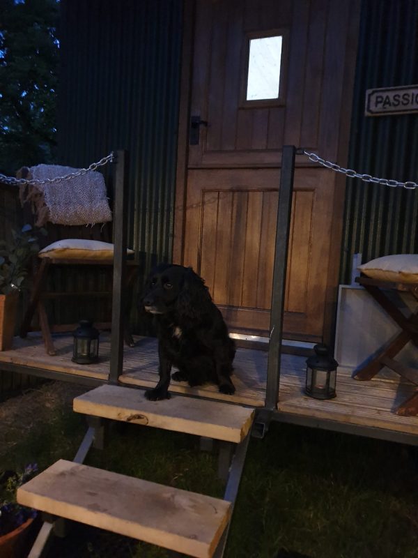 Hide and Sheep Shepherds Hut, Bradnop - Image 10