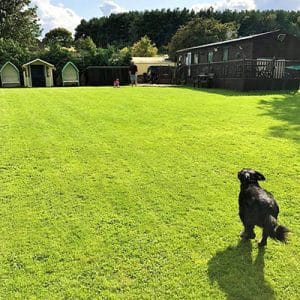 Paddock Lodge, Escomb, Bishop Auckland