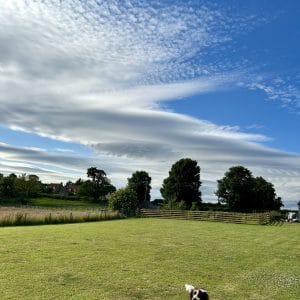 Bilsdale Cottage | Helmsley Dog Friendly Cottage | North York Moors